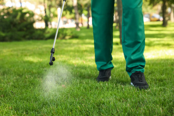 Best Rat Extermination Near Me  in Inwood, NY