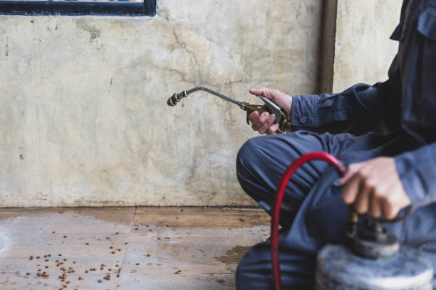 Best Affordable Pest Control Services  in Inwood, NY